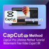 Creator Pro Lifetime Bundle